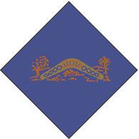 bronze boomerang badge