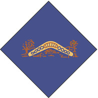 gold boomerang badge
