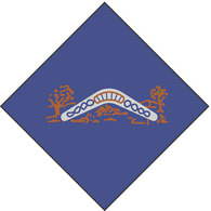 silver boomerang badge