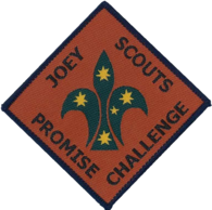 joey scout promise challenge badge